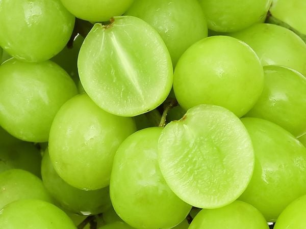 Nho Xanh Không Hạt Mỹ